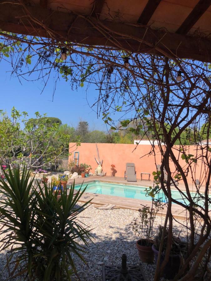 Villa Des Oliviers Baillargues Dış mekan fotoğraf